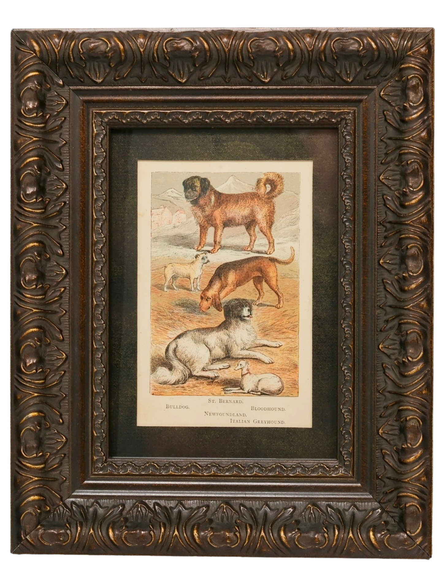 Set of 3 Framed Antique Dog Chromolithographs