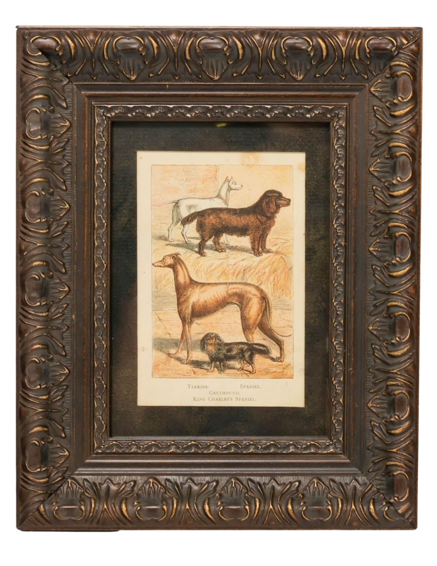 Set of 3 Framed Antique Dog Chromolithographs