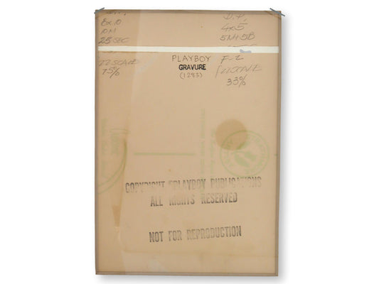 Original Phil Interlandi Playboy Cartoon | December 1983 Issue