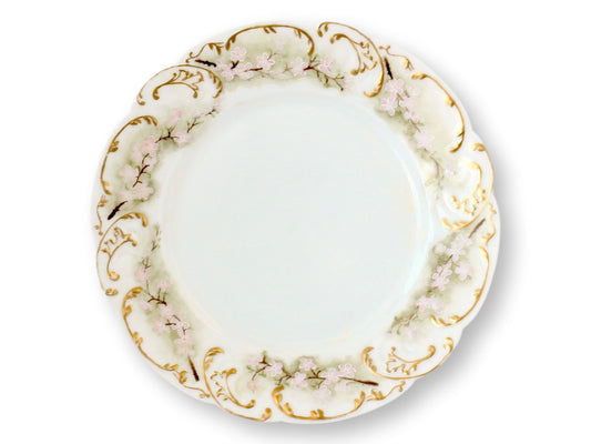 Haviland Limoges Pastel Plates, S/10
