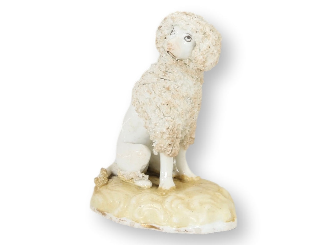 Rare Early 19th-Century English Staffordshire Rough Coat Poodle