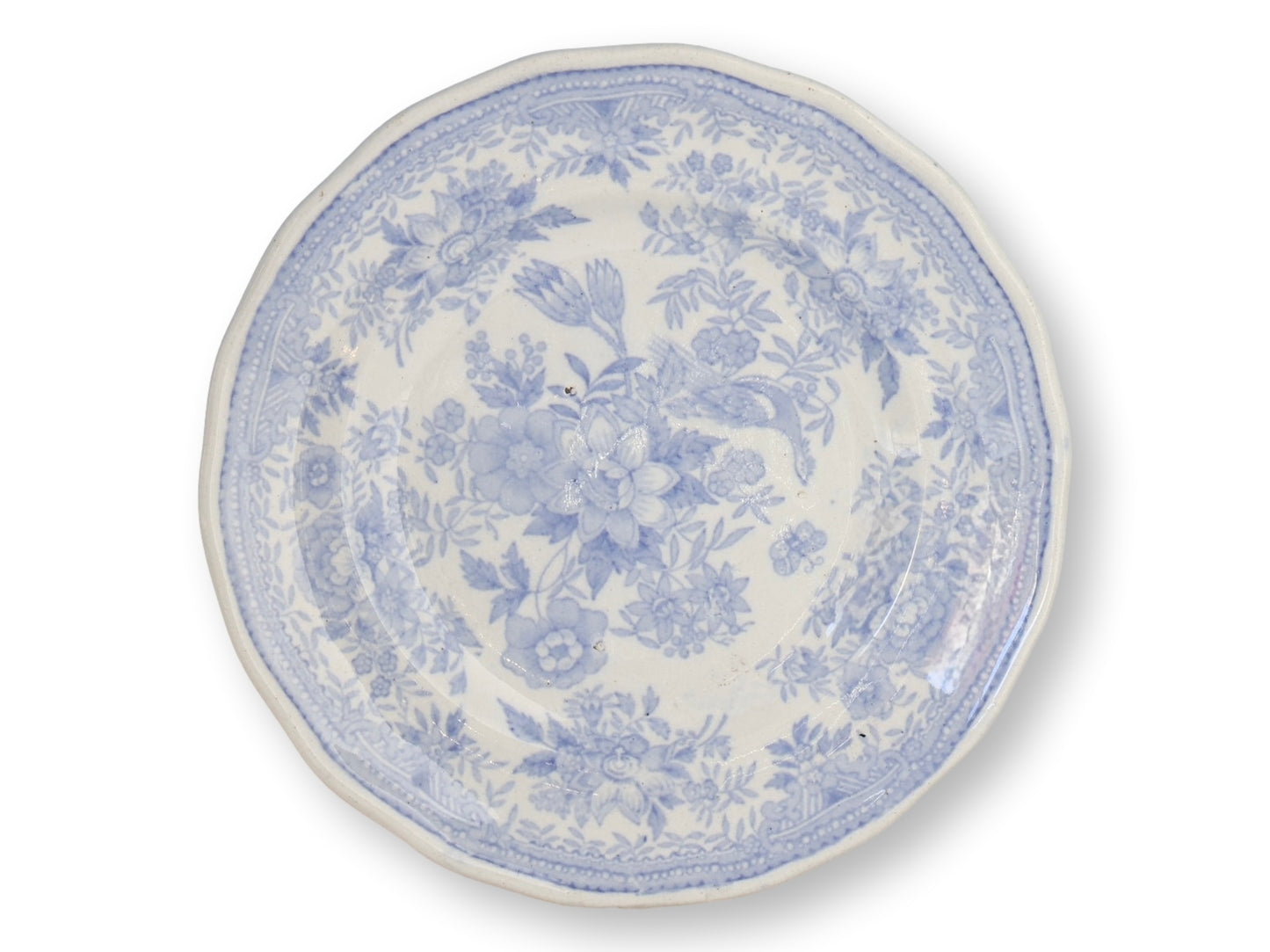 19th-Century Asiatic Pheasant Side Plates, Set of 4