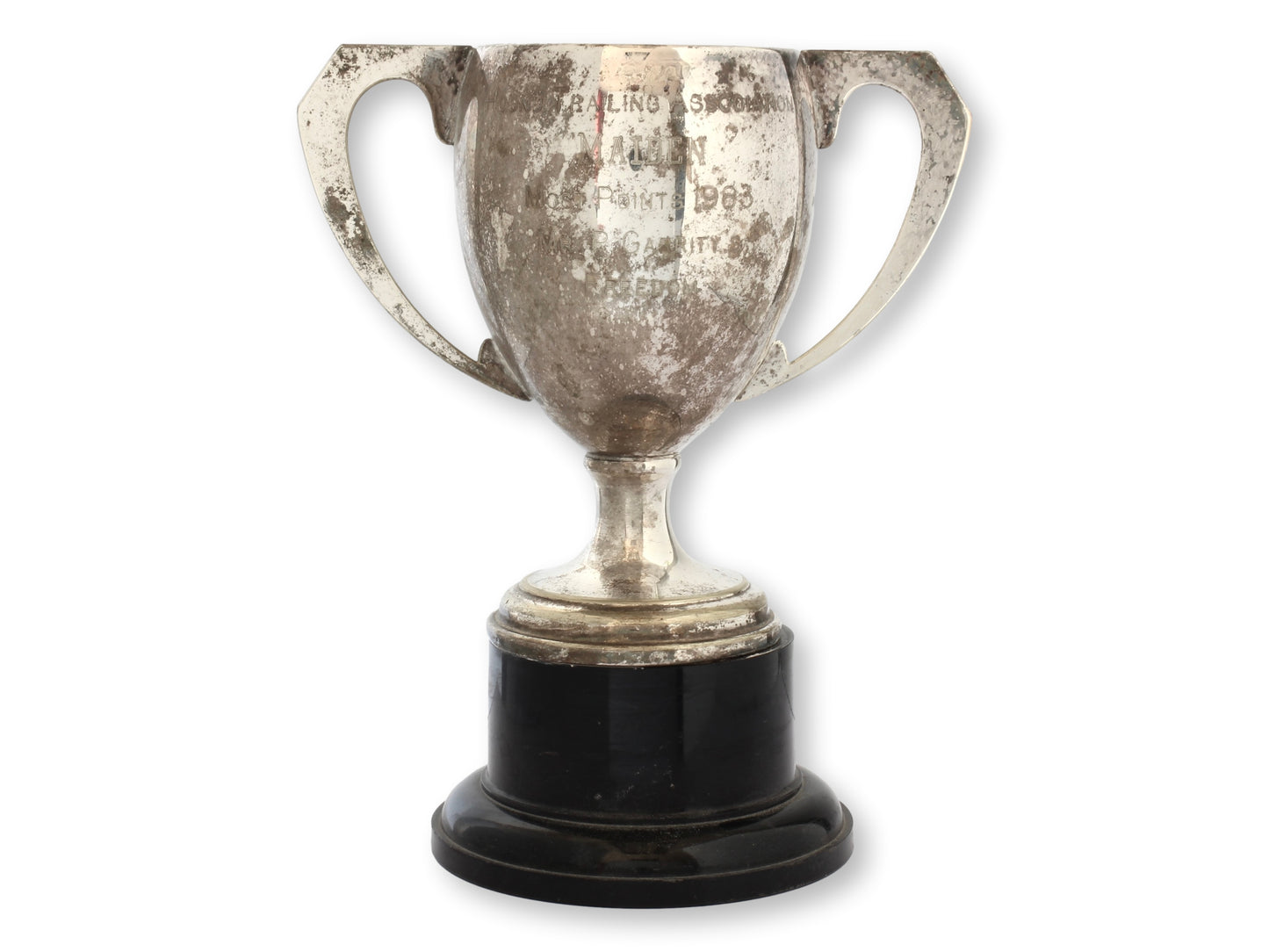 1983 English Hunting Dog Trophy