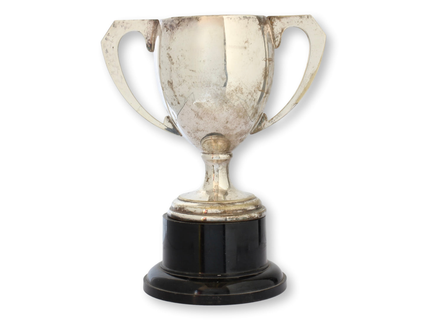 1983 English Hunting Dog Trophy
