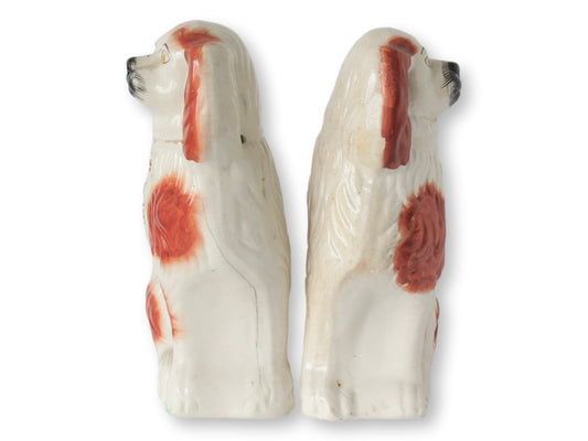 Rare Oversized English Staffordshire King Charles Spaniel Dogs