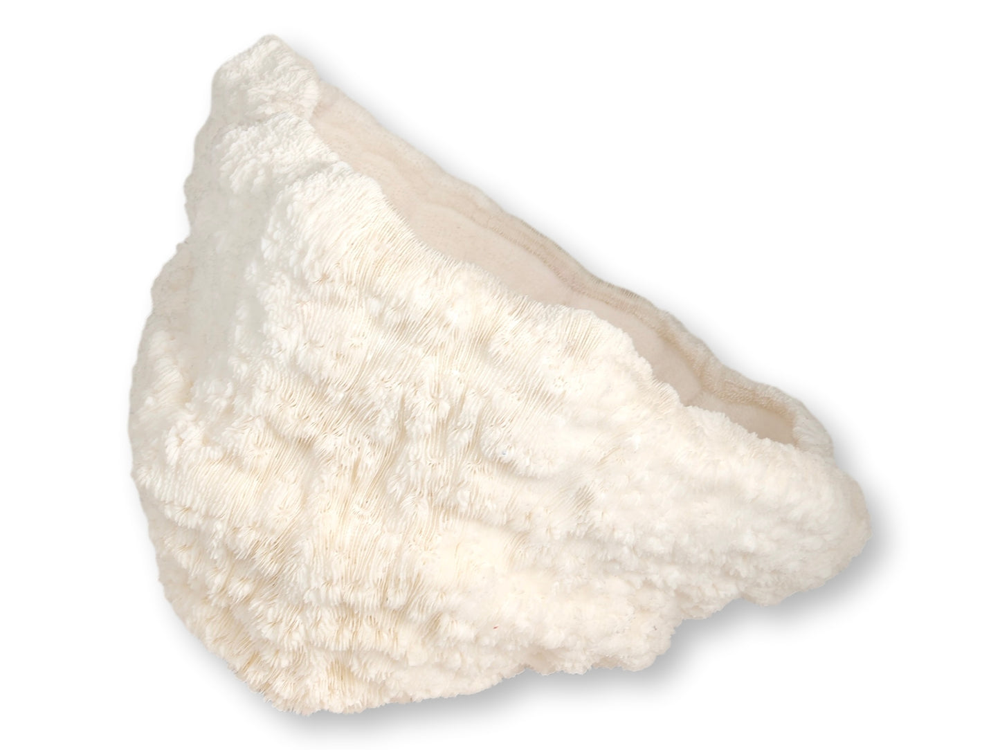 Large Natural Coral Bowl