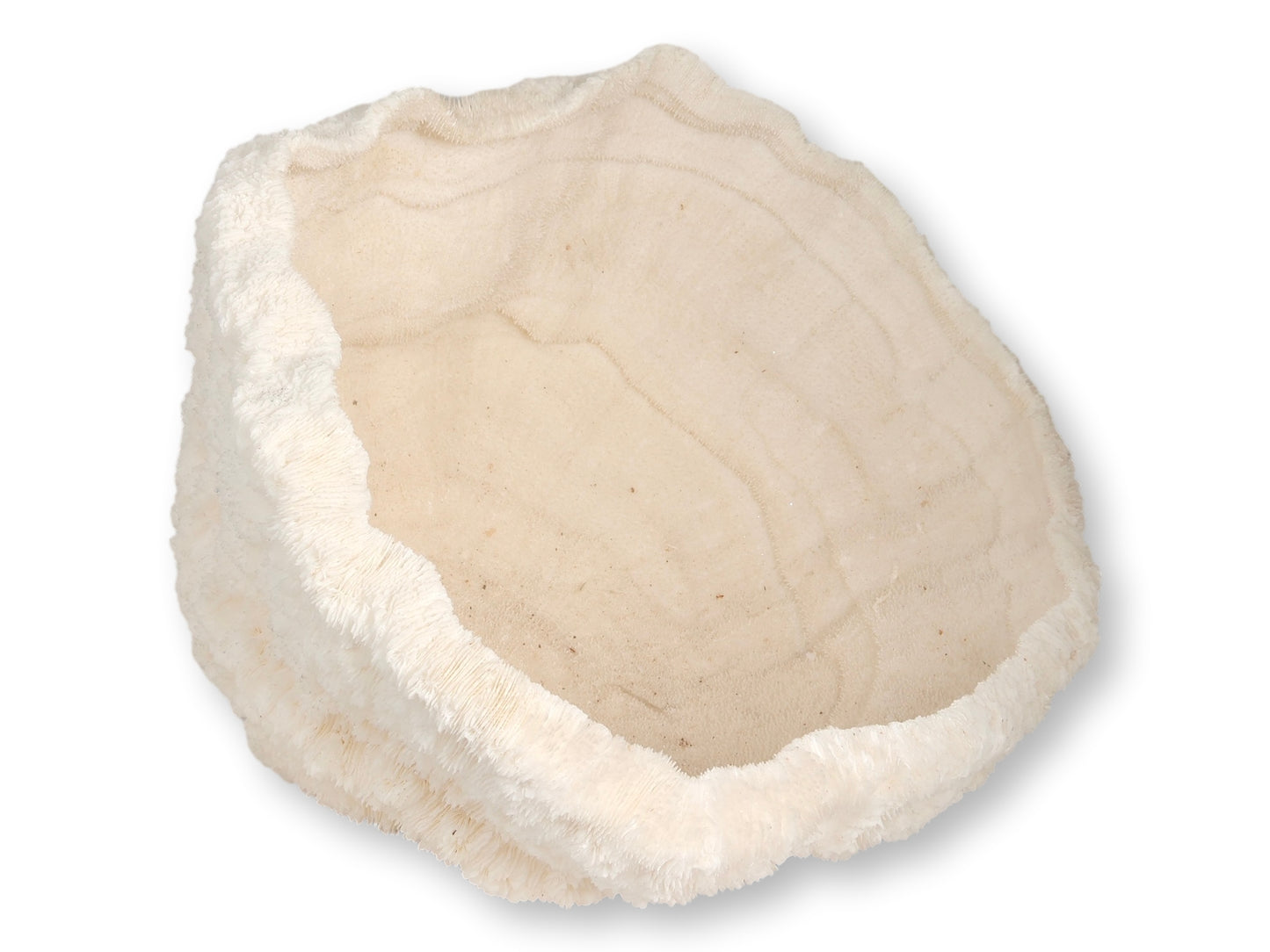 Large Natural Coral Bowl
