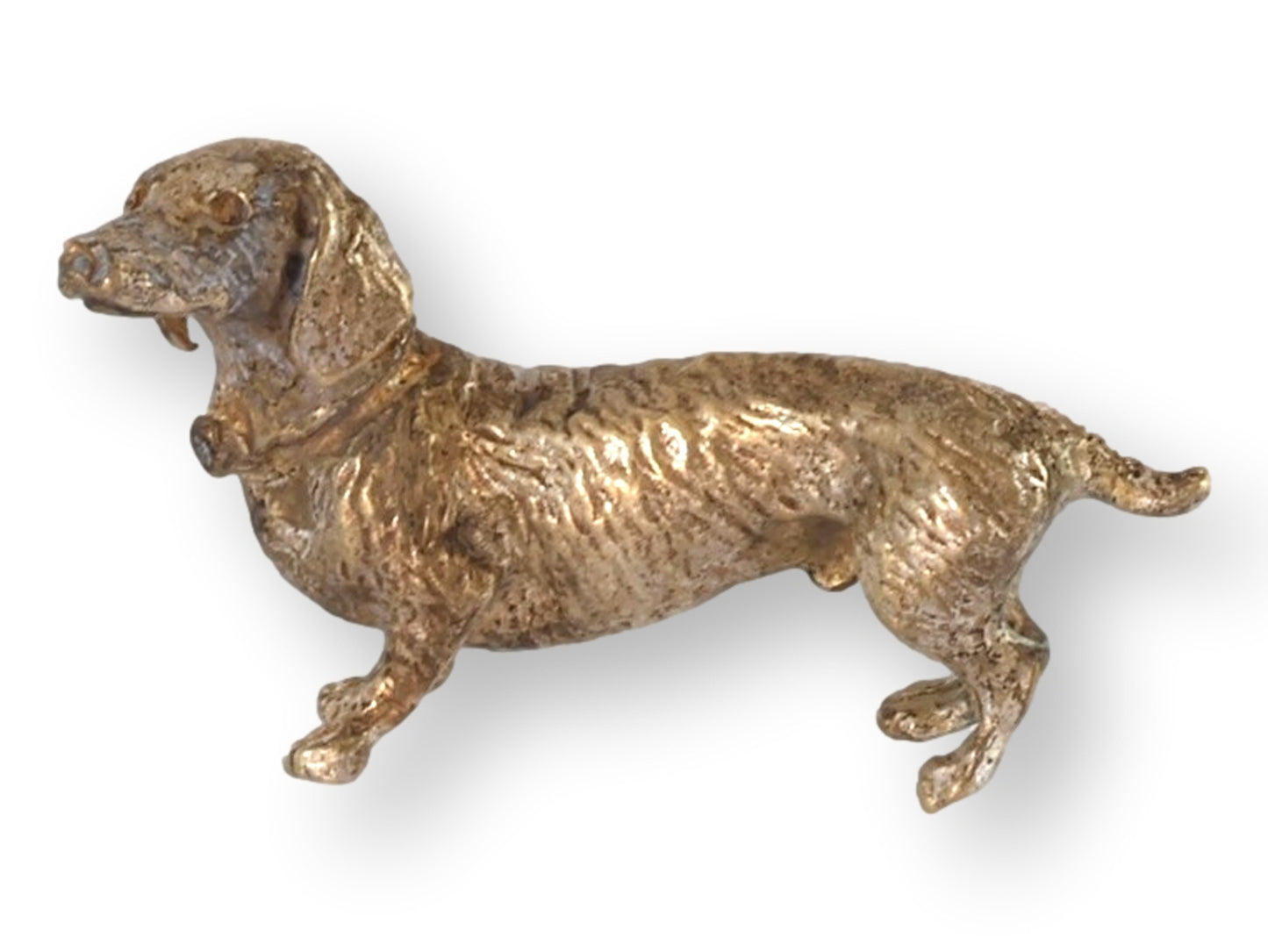 Miniature Vienna Bronze Dachshund Dog