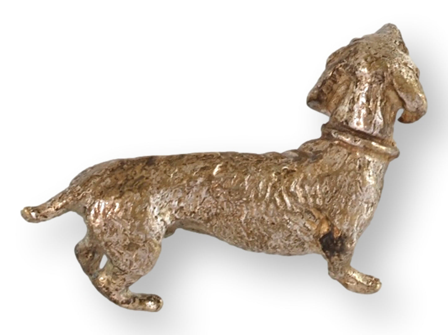 Miniature Vienna Bronze Dachshund Dog