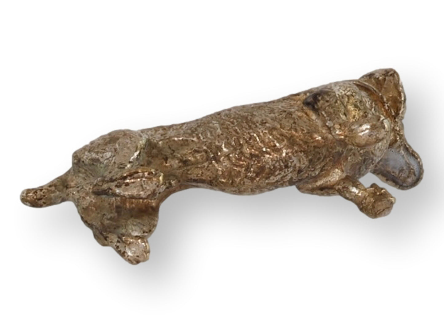 Miniature Vienna Bronze Dachshund Dog