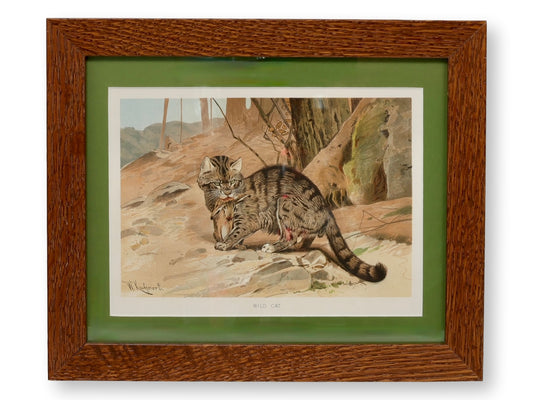 Framed 19th-Century Chromolithograph of Wildcat