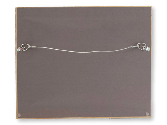 Framed Antique Shark Chromolithograph – Rare Original Marine Print