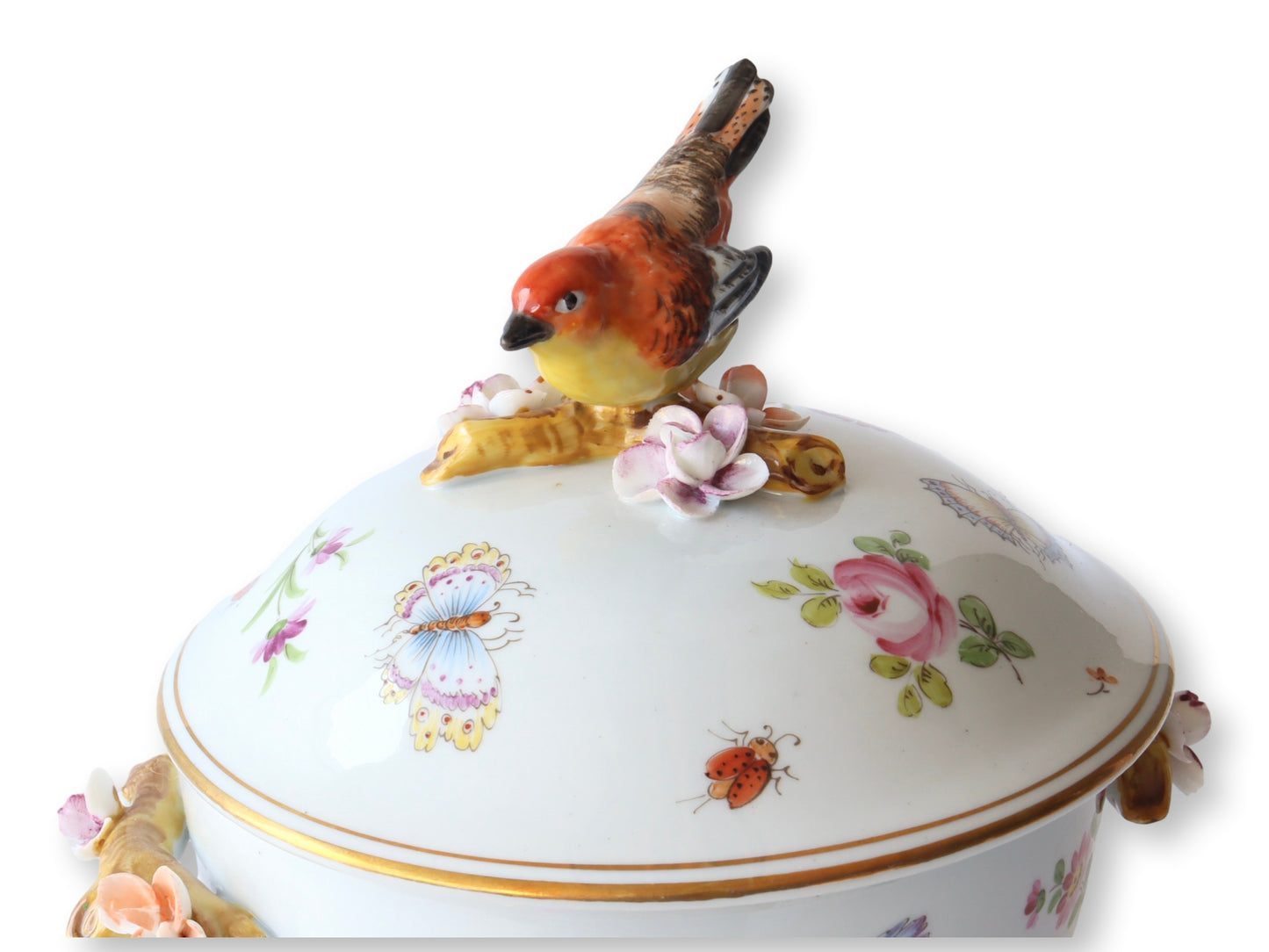 Italian Porcelain Butterfly & Bird Lidded Tureen – Artestile Roma