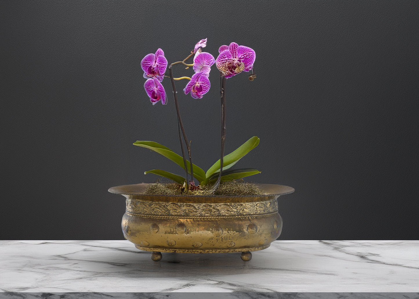 1960s Large Baroque Style Italian Planter