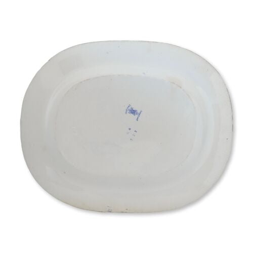 19th-C. English Staffordshire Ironstone Asiatic Pheasant Platter by Wedgwood