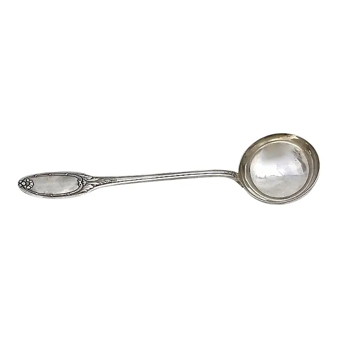 Early 20th Century French Christofle Silver-Plate Ladle