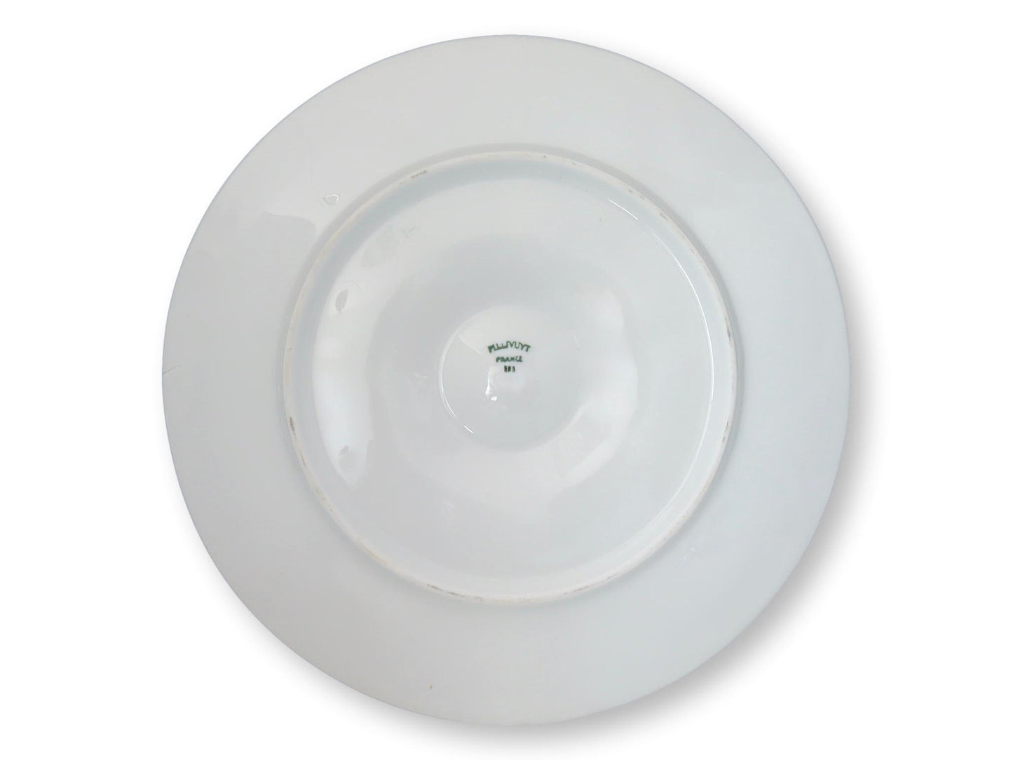 Vintage French Pillivuyt Oyster Plates, Set of 10