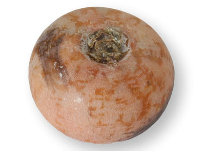 Midcentury Italian Alabaster Stone Persimmon