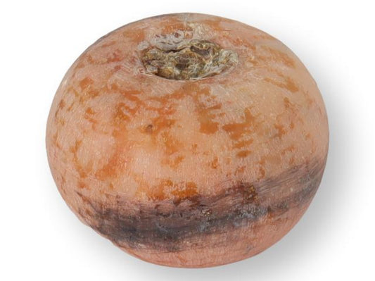 Midcentury Italian Alabaster Stone Persimmon