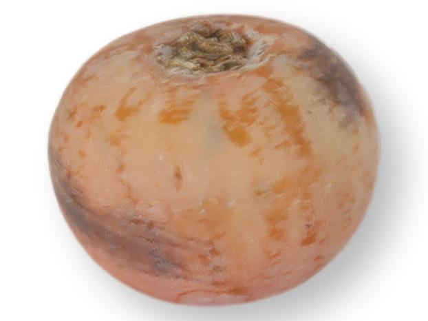 Midcentury Italian Alabaster Stone Persimmon