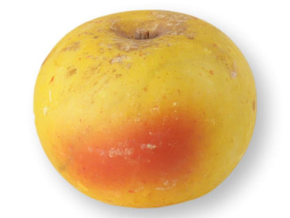 Italian Alabaster / Stone Fruit Apple