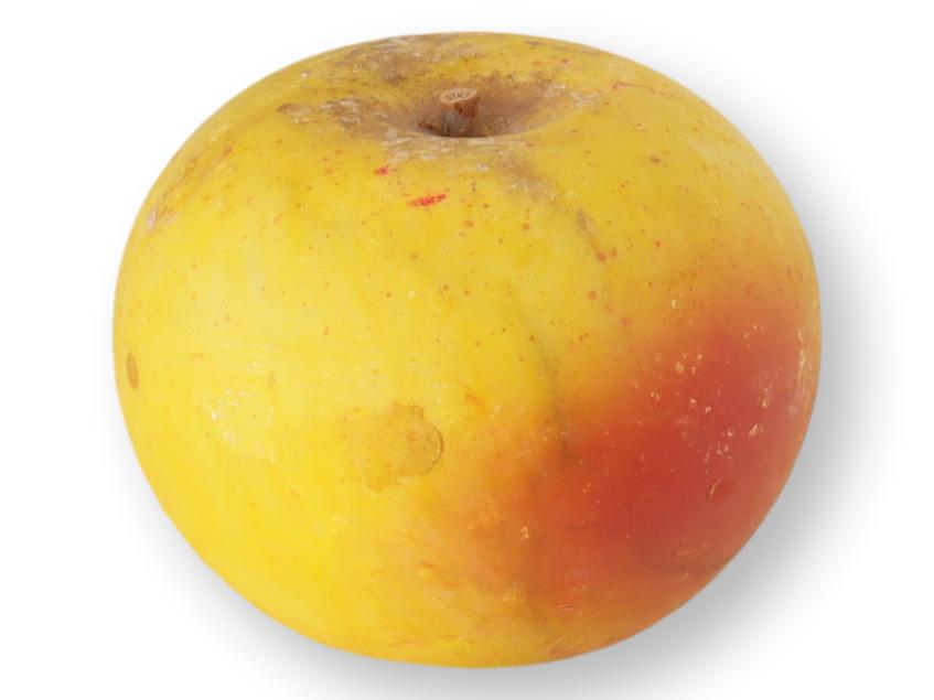 Italian Alabaster / Stone Fruit Apple