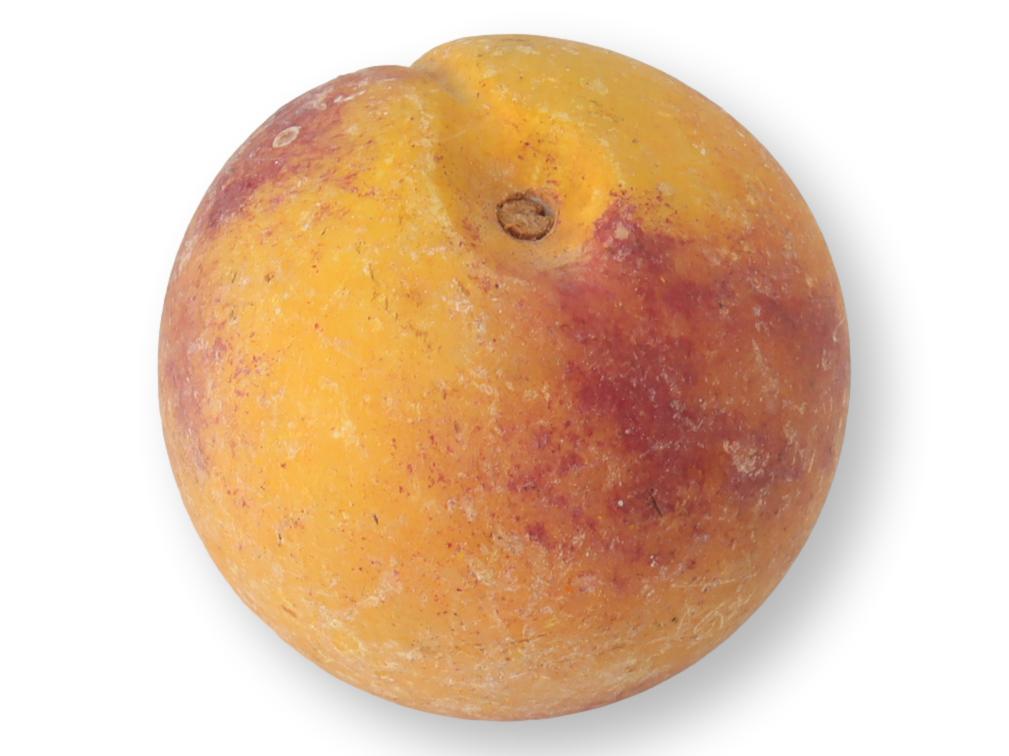 Italian Alabaster / Stone Fruit Peach