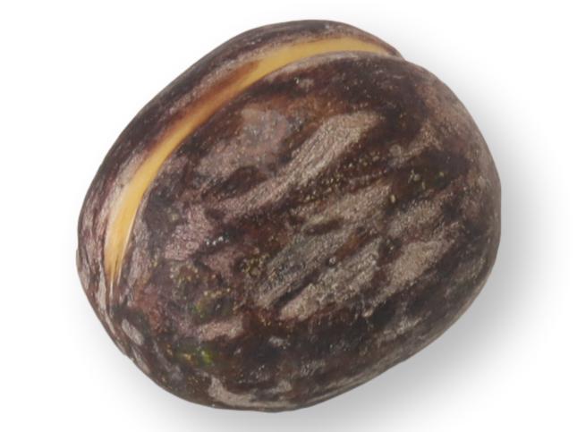 Italian Alabaster / Stone Fruit Fig