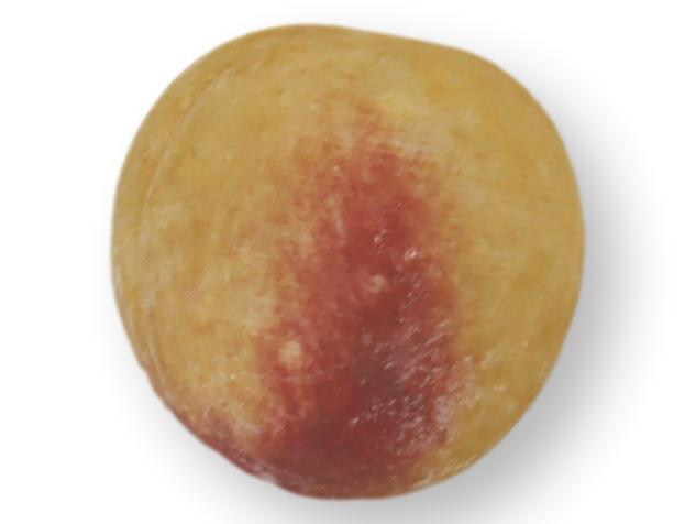 Italian Alabaster / Stone Fruit Peach