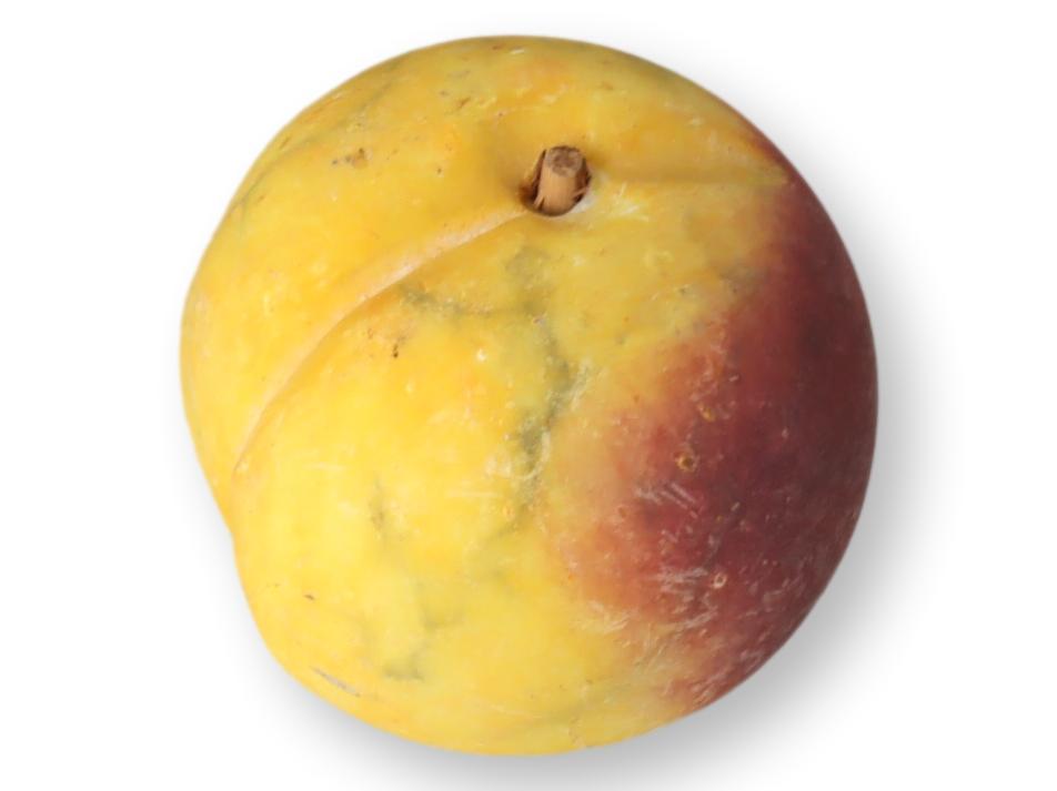 Italian Alabaster / Stone Fruit Peach