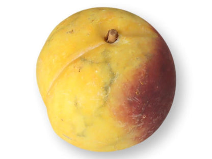 Italian Alabaster / Stone Fruit Peach