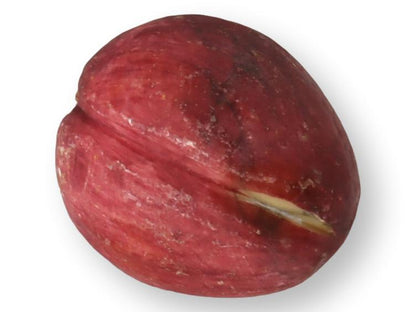 Italian Alabaster / Stone Fruit Plum