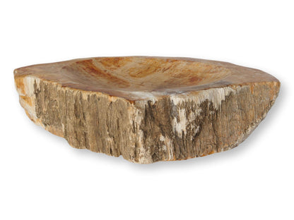 Petrified Wood Bowl