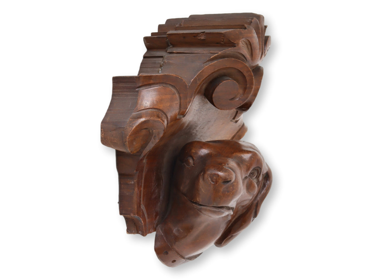 Antique French Carved Dog's Head Wall Plaque