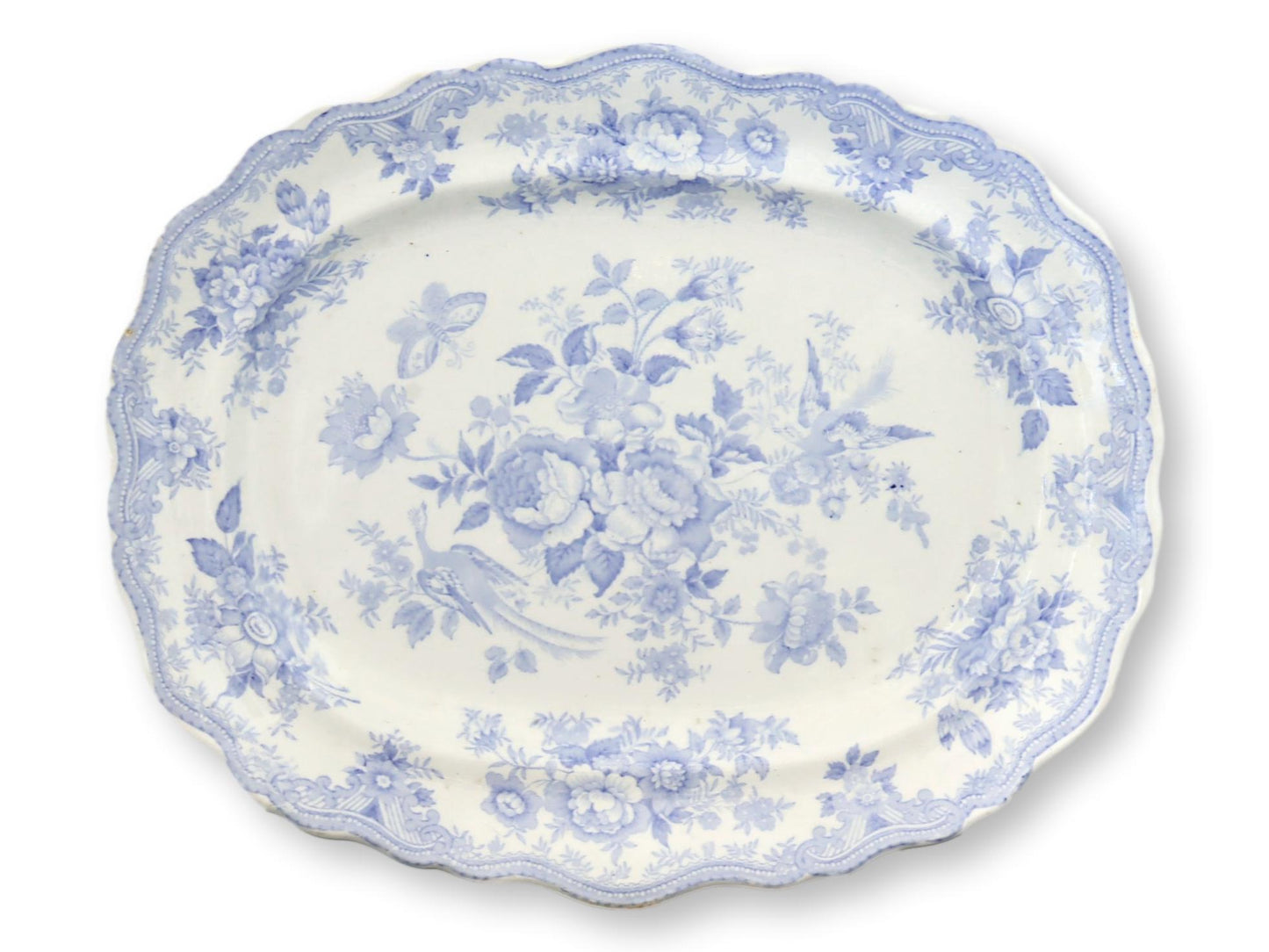 19th-C. English Transferware 15.5" Platter | Asiatic Pheasant Pattern