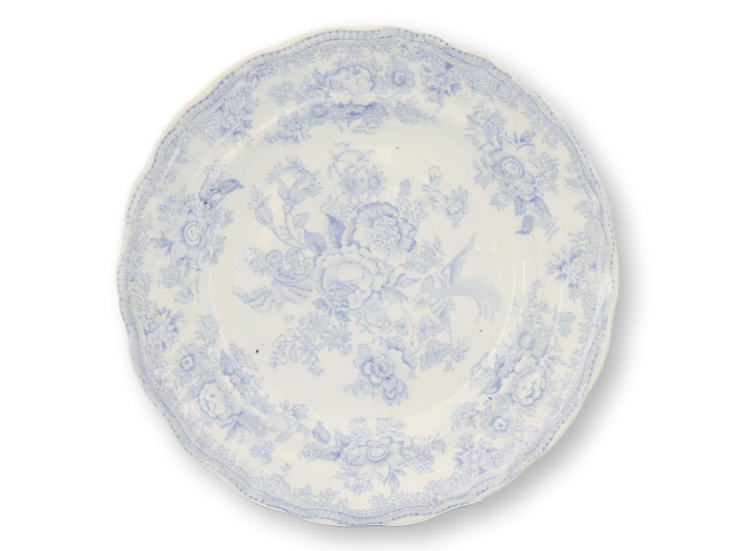 Antique 10.5" Asiatic Pheasant Pattern Dinner Plates | Set of 6