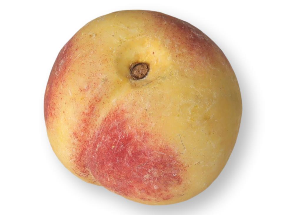 Italian Alabaster / Stone Fruit Peach