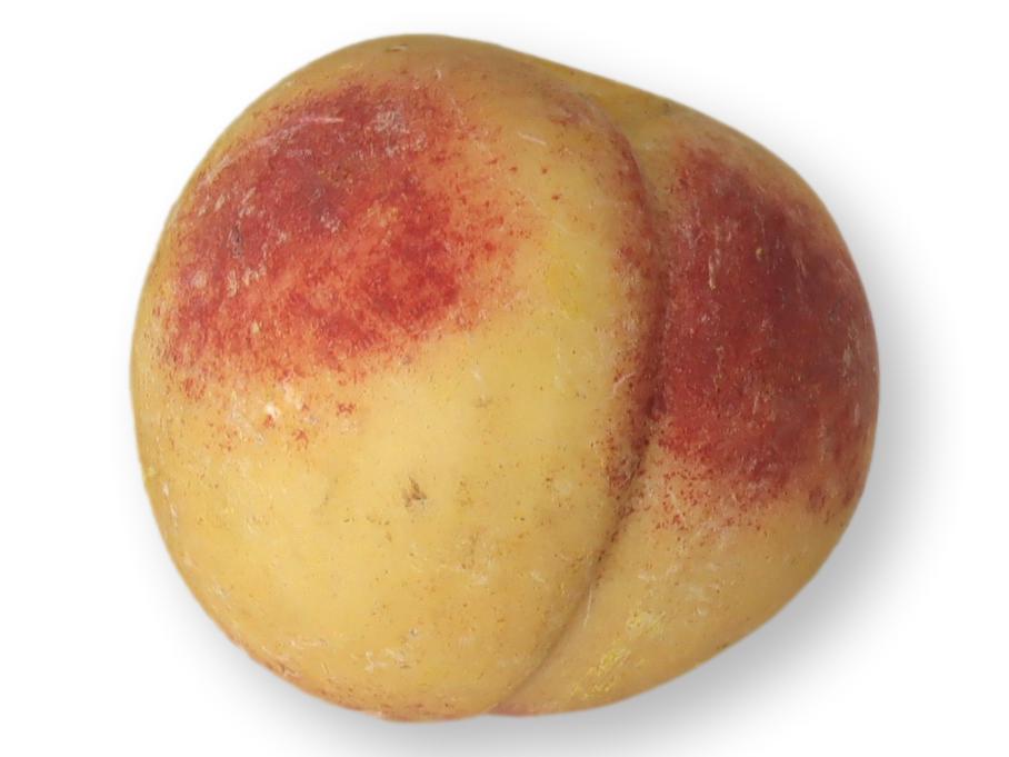 Italian Alabaster / Stone Fruit Peach