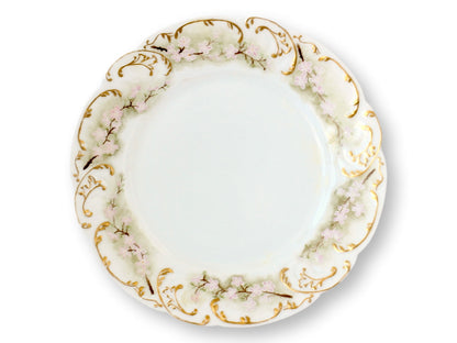 Haviland Limoges Pastel Plates, S/10