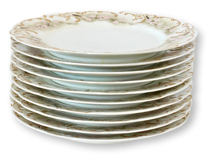 Haviland Limoges Pastel Plates, S/10