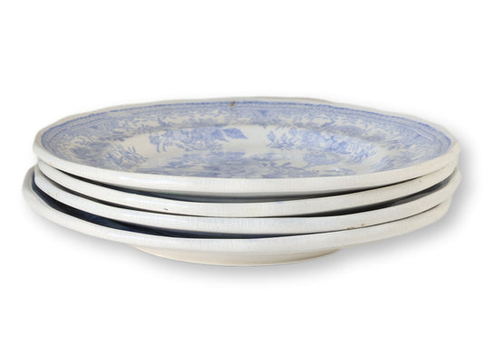 19th-Century Asiatic Pheasant Side Plates, Set of 4