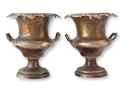 Antique Champagne Buckets w/ Family Crest, Pair