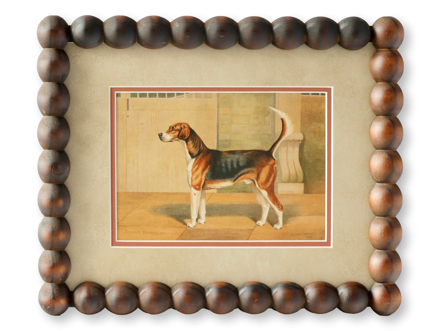 Belvoir Dexter, 1885 — English Sporting Dog Lithograph after G.H. Burgess