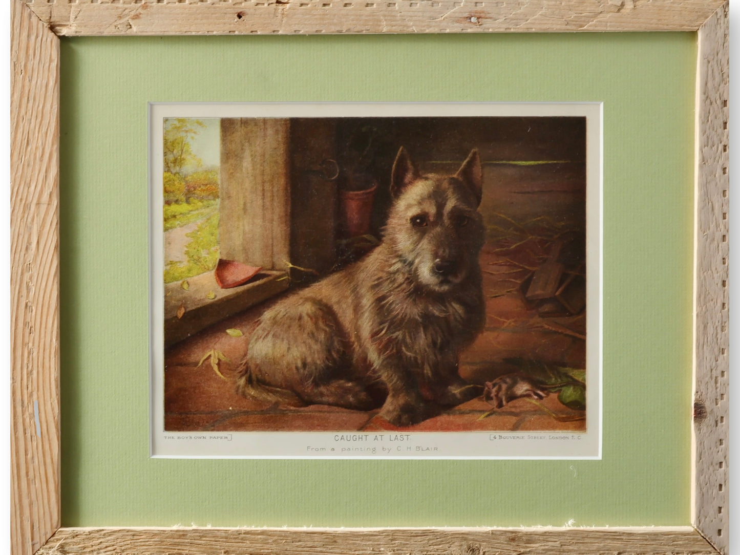Caught at Last — Late 1800s English Sporting Dog Lithograph