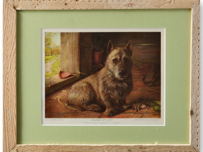 Caught at Last — Late 1800s English Sporting Dog Lithograph