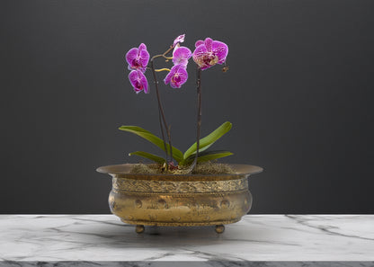 1960s Large Baroque Style Italian Planter