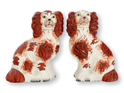 c. 1860s English Victorian #5 King Charles Spaniel Dogs