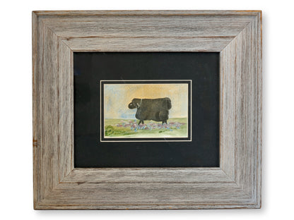Folk Art Watercolor of a Black Sheep