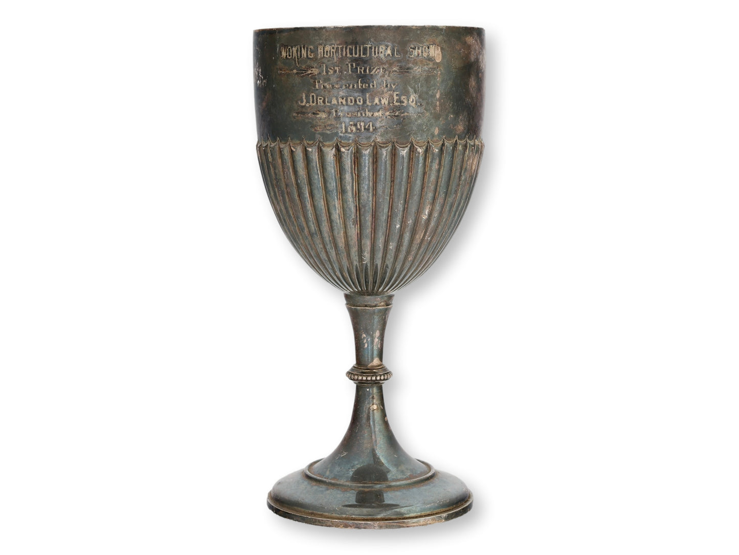 1894 English Horticultural Society Trophy Cup