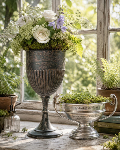 1894 English Horticultural Society Trophy Cup